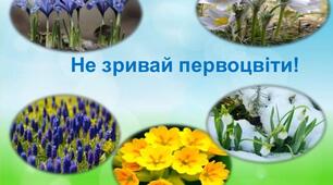 Практична робота. Виготовлення листівок на захист первоцвітів