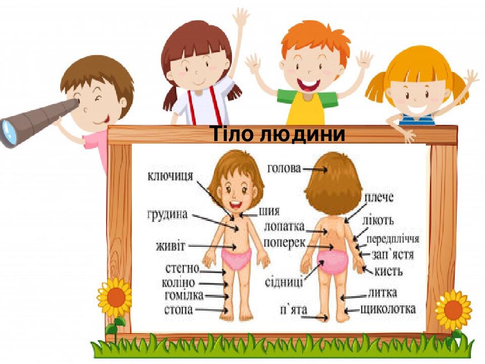 Презентація "Тіло людини" Я досліджую світ 1 клас | Презентація. Я ...
