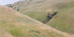 0200m2f8-4c18-256x128.jpg