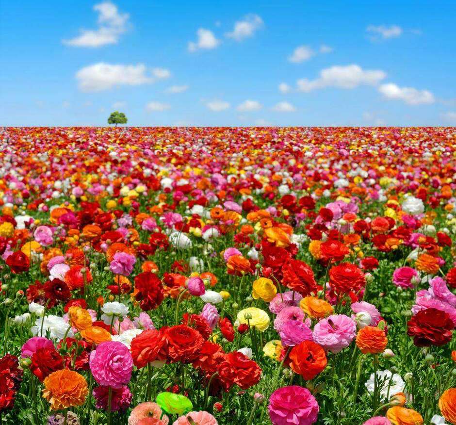 0200m4xg-2488-940x876.jpg