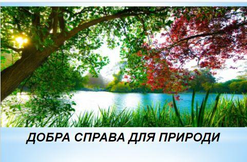 0200m5f9-78ad-481x316.jpg