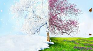 Урок - батл з англійської мови "Winter vs Spring"