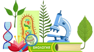 Узагальнюючий тест. Біологія 8 клас І семестр.