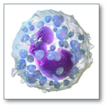 0200m76g-3772-151x151.png