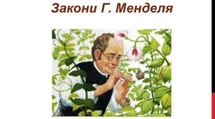  Закони Менделя