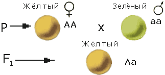 0200m7tk-3f80.png