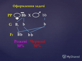 0200m7u2-769b-266x199.png