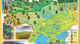 Природні зони України. Мішані ліси. 4 клас
