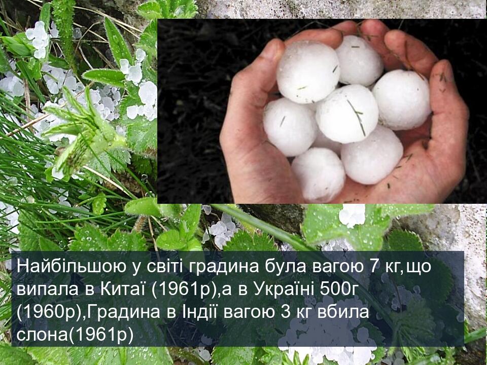 Найбільшою у світі градина була вагою 7 кг,що випала в Китаї (1961р),а в Україні 500г (1960р),Градина в Індії вагою 3 кг вбила слона(1961р)