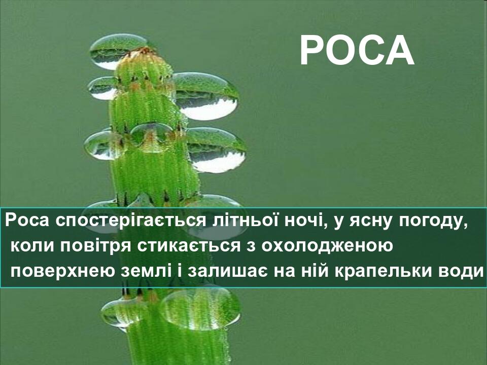 РОСА Роса спостерігається літньої ночі, у ясну погоду, коли повітря стикається з охолодженою поверхнею землі і залишає на ній крапельки води