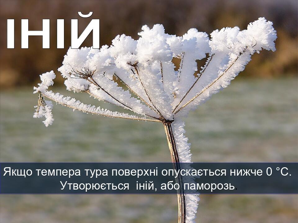 Якщо темпера тура поверхні опускається нижче 0 °С. Утворюється іній, або паморозь.