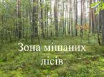 0200m9f3-f543-150x112.jpg