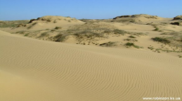 0200matv-fb43-259x144.png