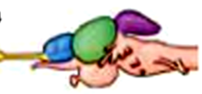 0200mb1n-5e80-227x106.png