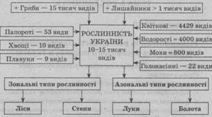 Води суходолу, грунтові ресурси та рослинний світ України.