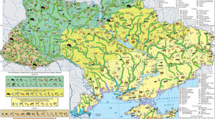 Ґрунти. Тваринний і рослинний світ України.