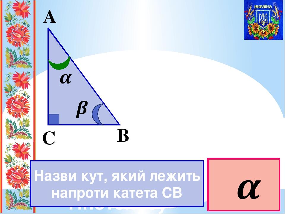 На рисунке катет ав равен