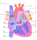 0200mf91-5d82-150x161.png