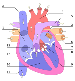 0200mf91-5d82-150x161.png