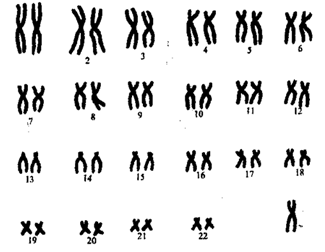 0200mg7d-e762-325x252.png