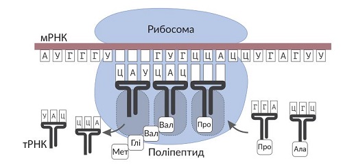 0200mja5-7bcf.jpg