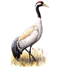 0200mlo1-7d4c.png