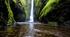 8.1. Nature_Group B (Focus 1)