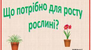 Дидактична гра " Що потрібно рослині для росту"