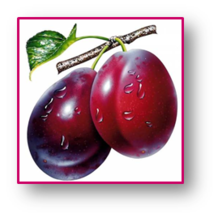 0200mozb-a643-218x218.png