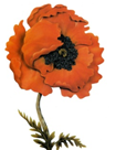 0200mp14-8c84.png