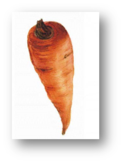0200mpi4-3f51-105x139.png