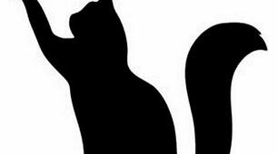 Ten Cat facts. Degrees of Comparison