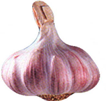0200mrnu-2b83.png