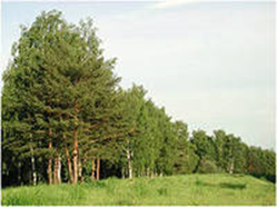 0200mrrc-4ea4-249x186.png