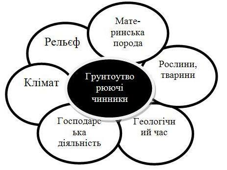 Описание: https://academia.in.ua/sites/default/files/field/image/401.JPG