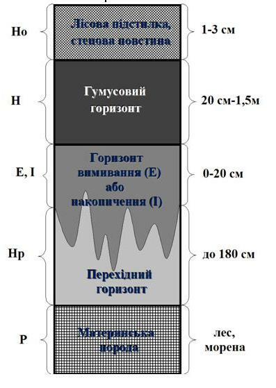 Описание: https://academia.in.ua/sites/default/files/field/image/403.JPG