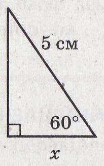 0200muze-9343-205x327.jpg