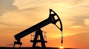 (Копія) Мінеральні ресурси. Видобування вугілля, нафти , газу.