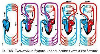 0200mvna-9f6a-331x180.jpg