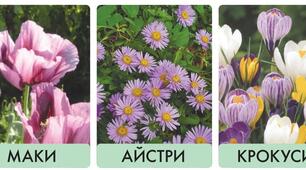 Тест. Діагностувальна робота VI.Жива природа:рослини,гриби,мікроорганізми. Я досліджую світ 3 клас .О. Іщенко,О.Ващенко