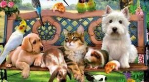 Презентація до теми "Animals"