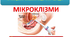 Презентація на тему "Мікроклізми"