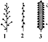 0200mxon-6cf6.png