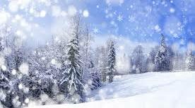 Різдвяні традиції ❄
