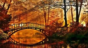 🍁Свято Осені🍂