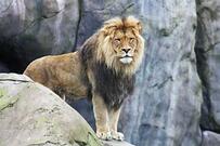 0200mynv-dff7-203x135.jpg