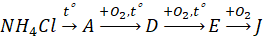 0200mytt-499c.png