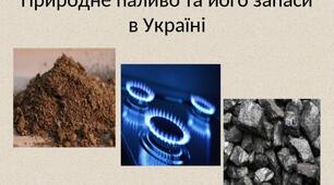 Природне паливо та його запаси в Україні
