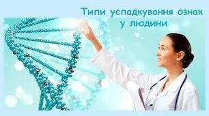 10-Б-Типи успадкування ознак у людини