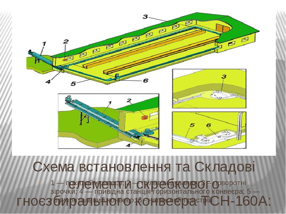 Тсн на схеме